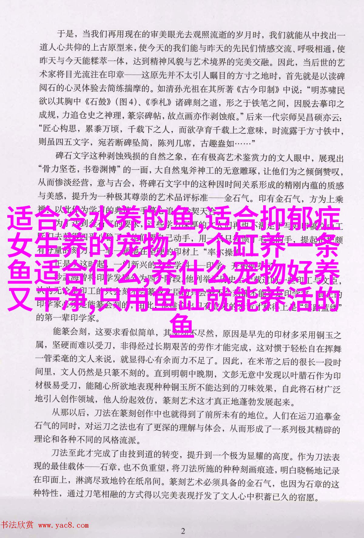 雪纳瑞
