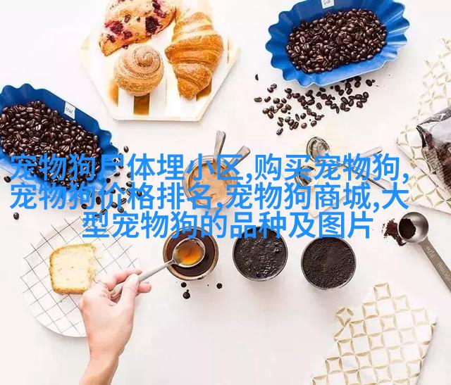法国斗牛梗