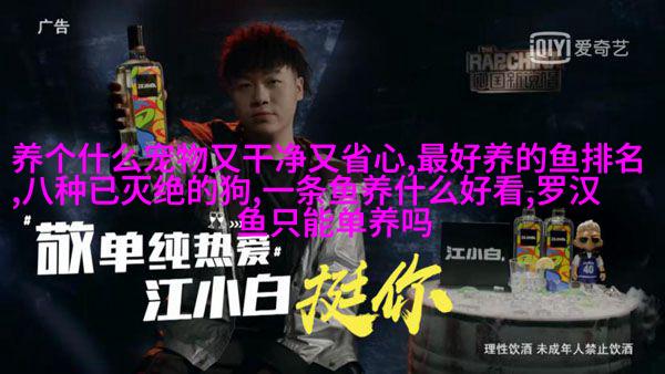 美洲森林大眼喵喵