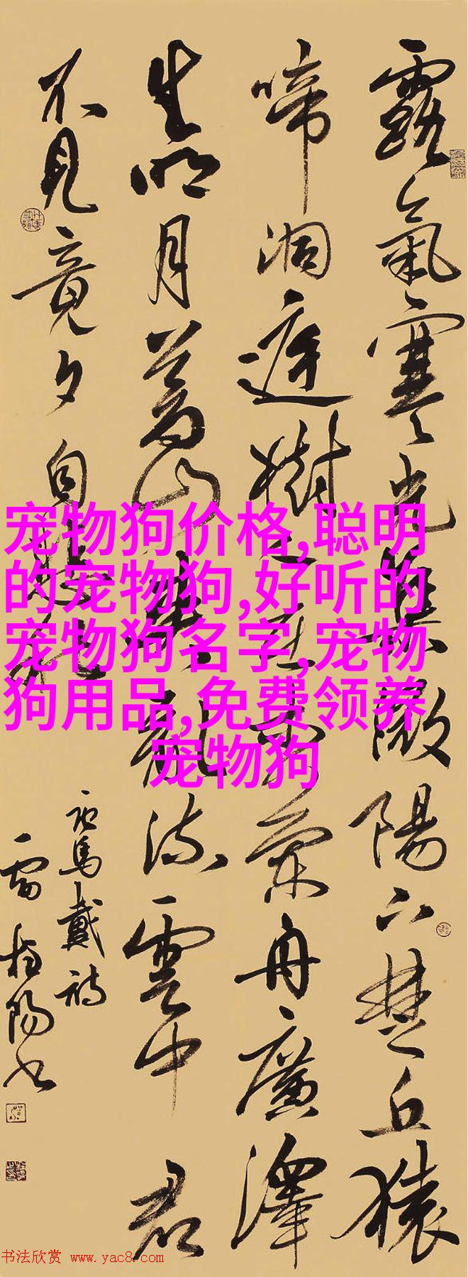 拉布拉多雷克茜