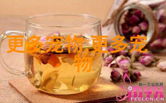 欧洲灰