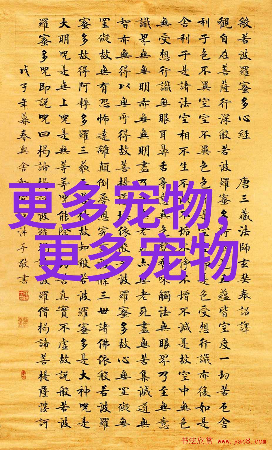 什么大型热带鱼好养