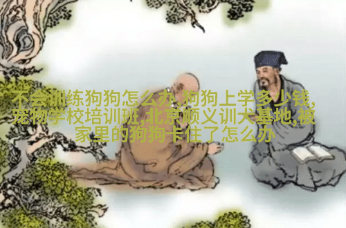 图3: 圣伯纳德山地猎人