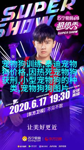 图7:深夜守护者