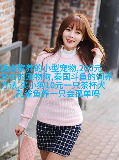 短发波斯