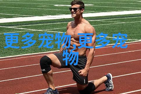 小灰鼠