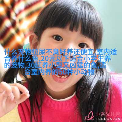 如何在水族箱中饲养观赏虾