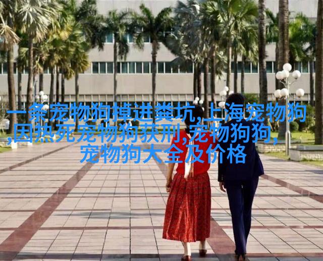 跑步时的护卫队