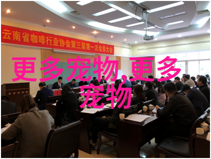 天天嚷嚷着狗聪明,还搞了个智商排行榜,这喵星人怎么能服气