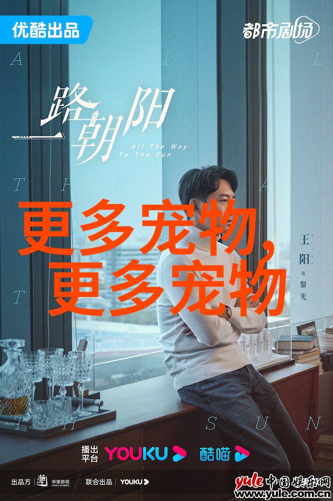 一天喂食招财鱼次数不限,随时进食