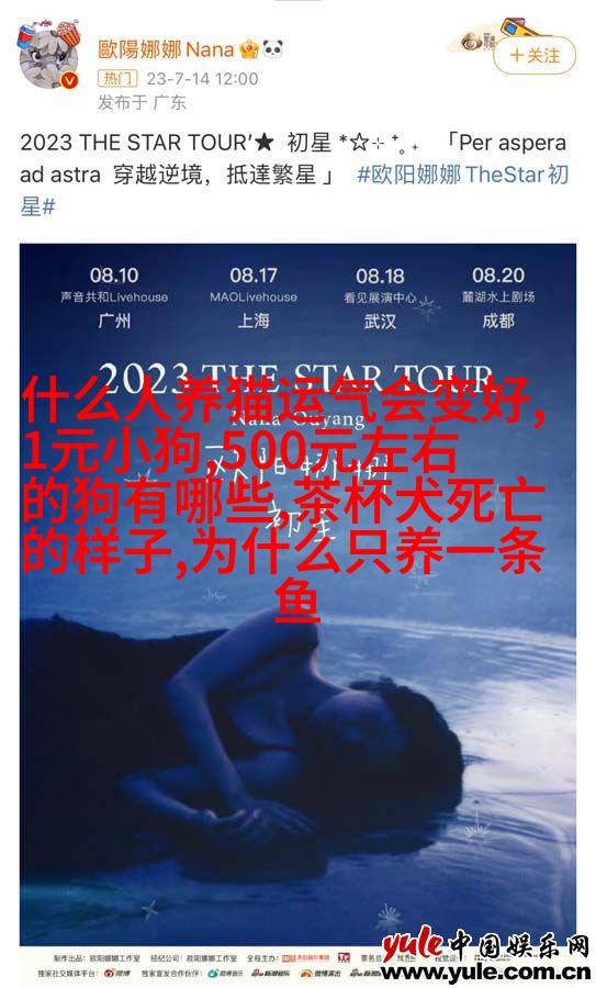 豹纹波斯