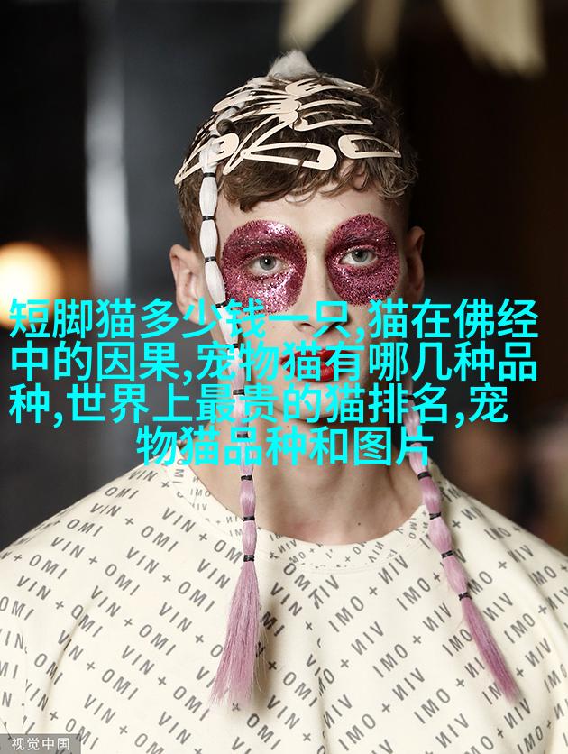 西藏熊猫