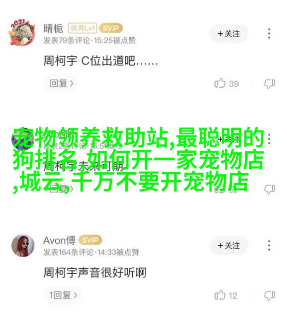 小马尔济斯