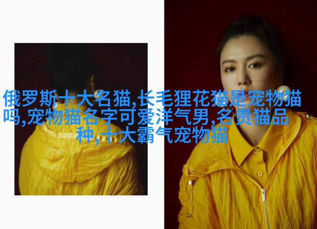 维苏威挞拉多耳朵短腿版(Caniche)
