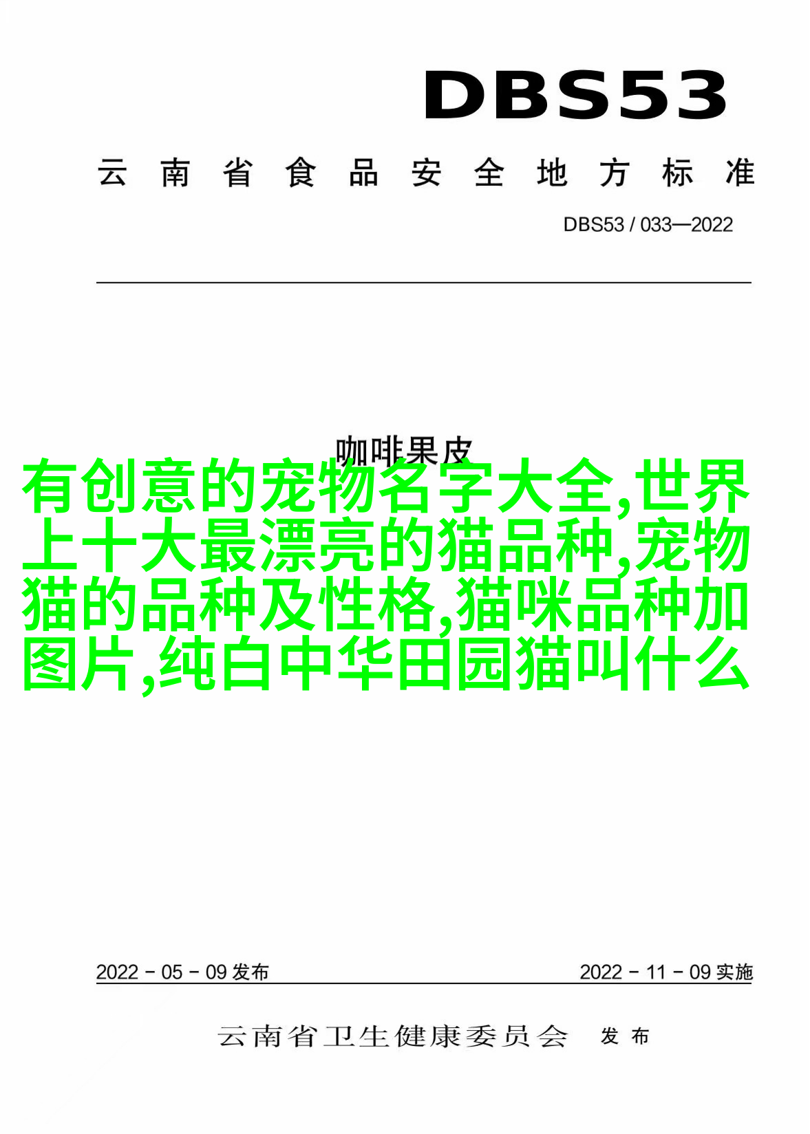 俄罗斯蓝眼白纹斑大耳朵马尔汀