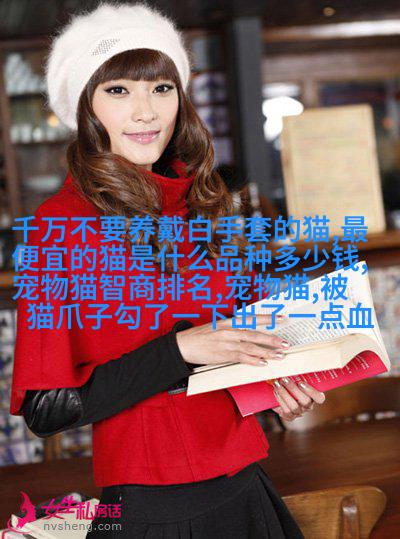 欧洲短毛