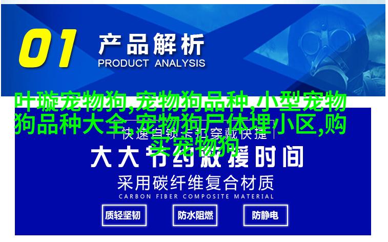 达尔马提亚犬脸狮子狗