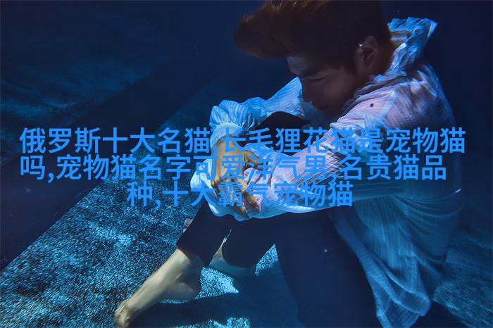 哈士奇