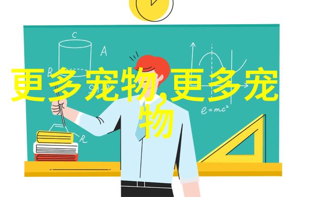 苏格兰折耳长毛