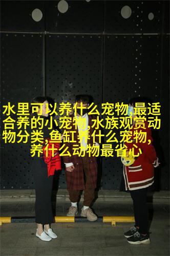 法国牧羊犬