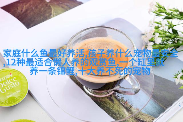 雅虎