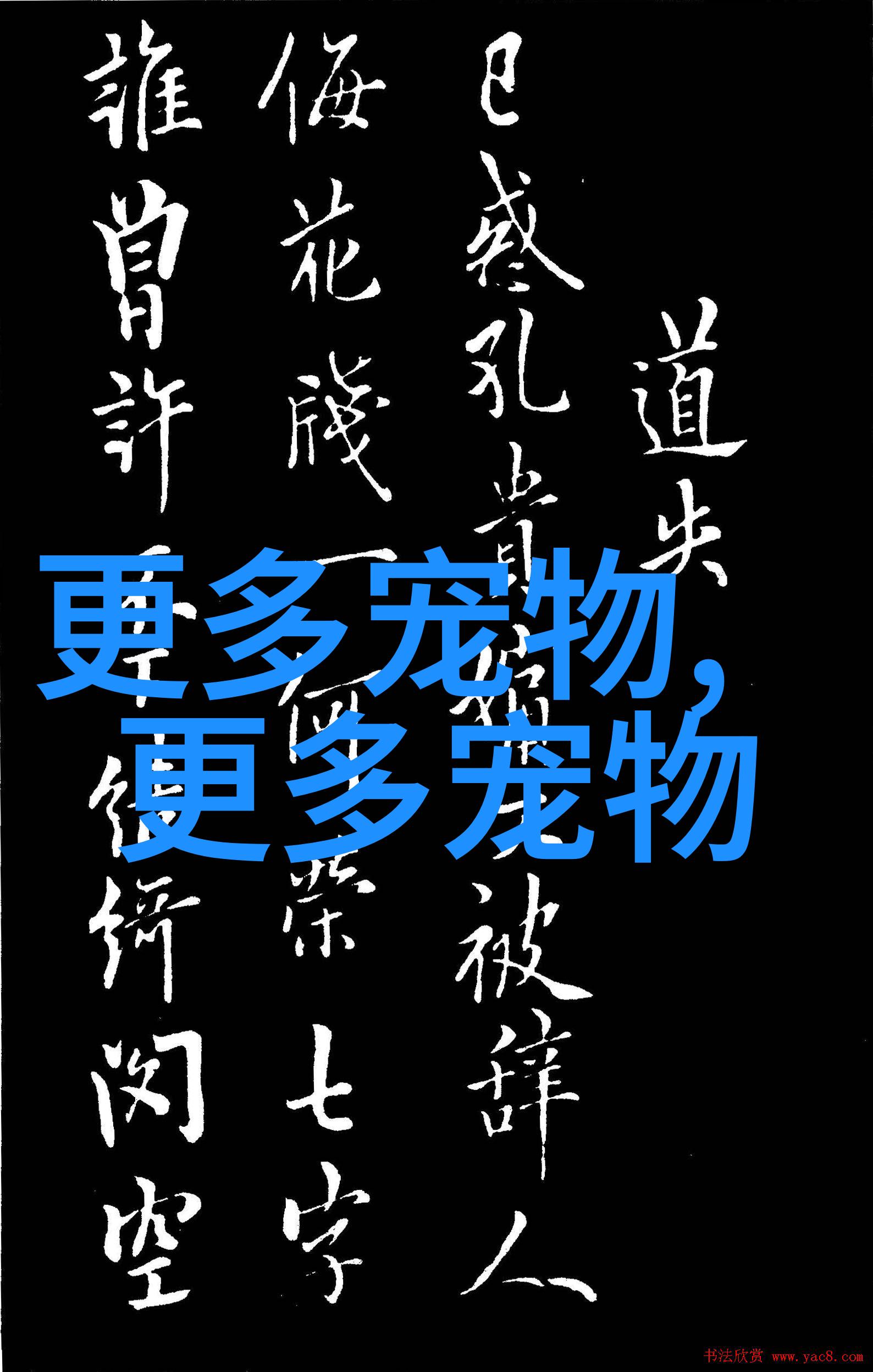 拉布拉多寻回犬