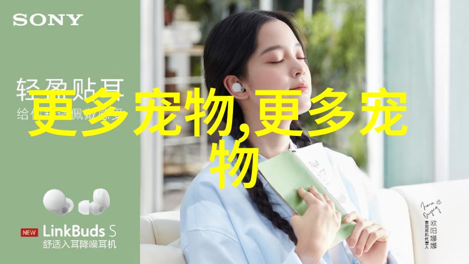 养银龙鱼的好处有哪些?