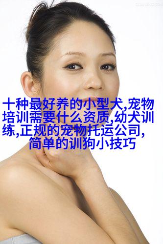 图像描述