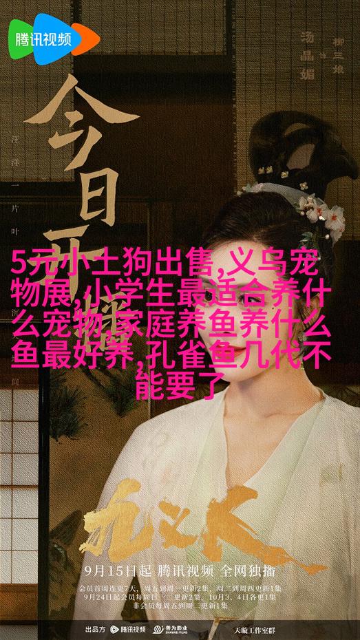 金毛寻回Dog