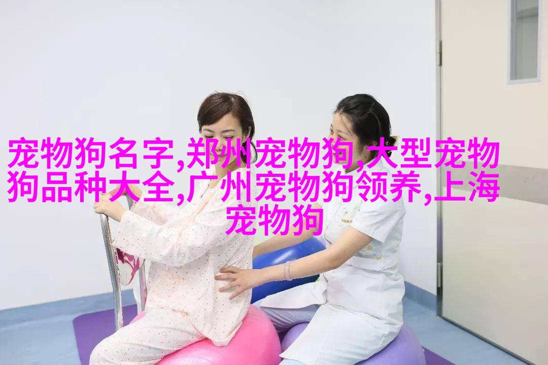 图2: 一个抱着Bichon Frises的小女孩