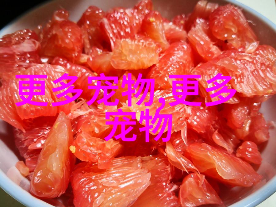 图5: 波斯猫