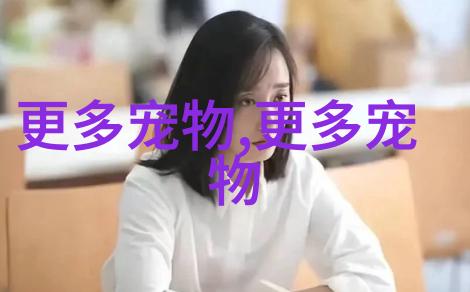 图2: 贝尔吉