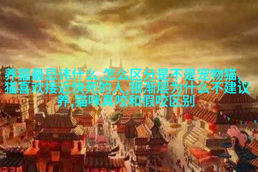 米克ADO