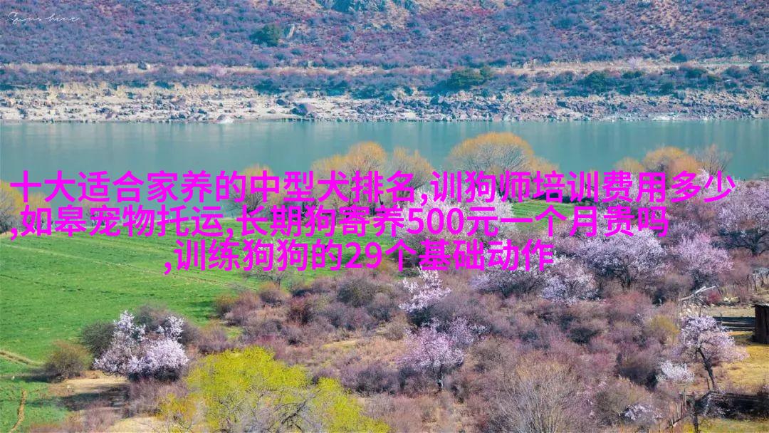 藏獒