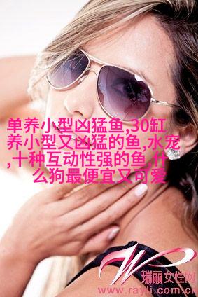巴塞罗那梗