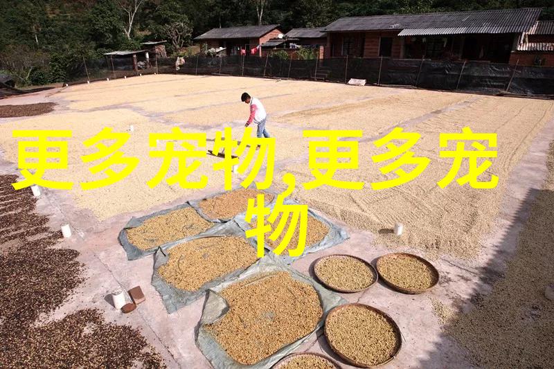 养热带鱼用什么水水质怎么样水温是多少