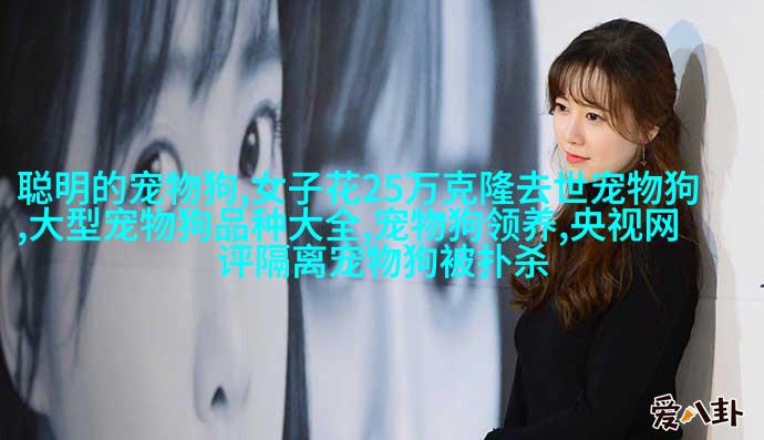 图2: 法国斗牛梗
