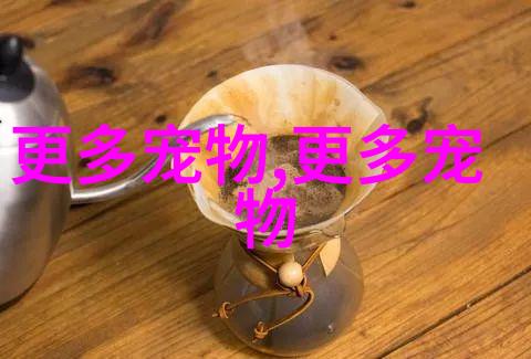 拉丁美洲斑马