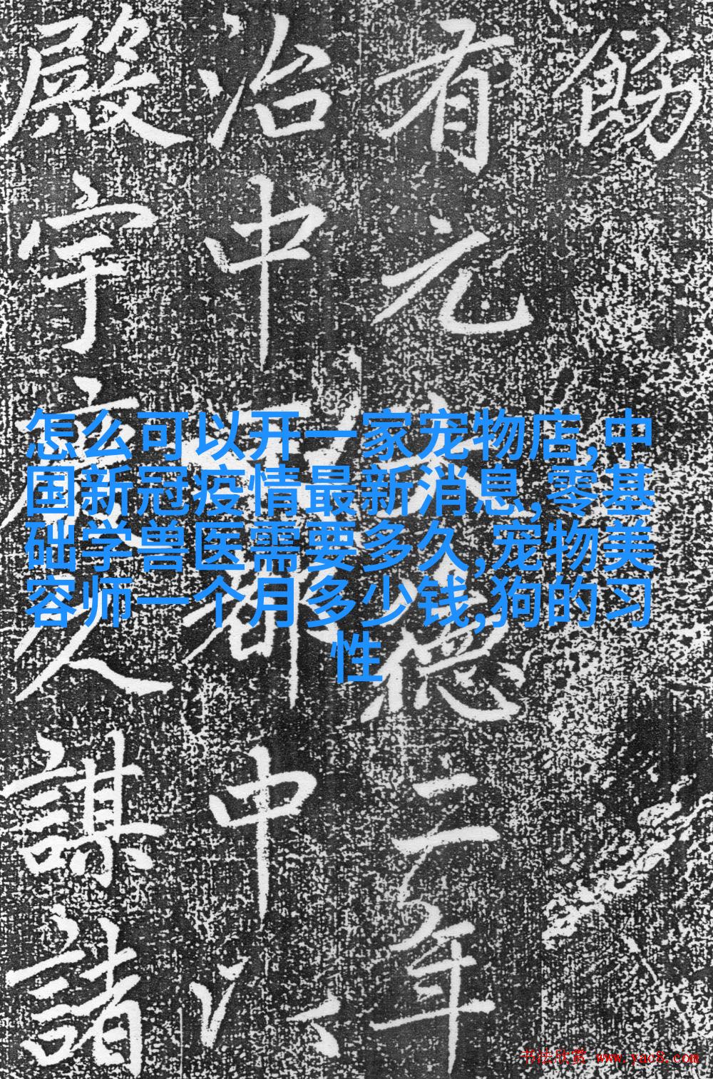 斑马斑