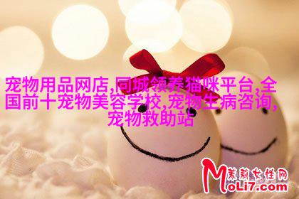 一般混养龙鱼有哪些技巧适合与龙鱼混养的鱼