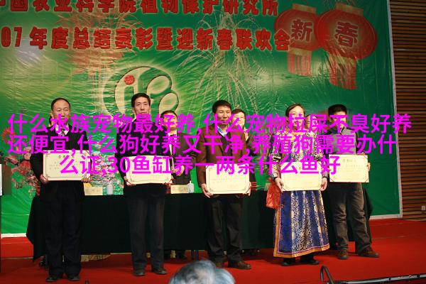 大型马来虎纹