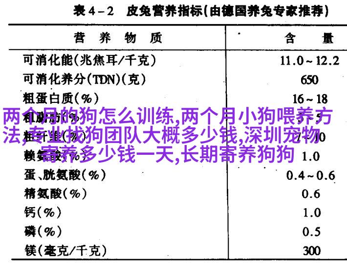苏格兰牧羊dog