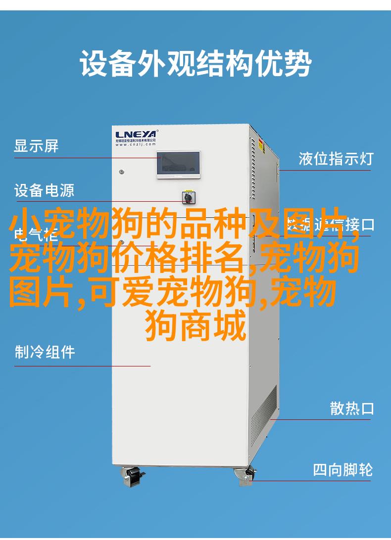 哈士奇
