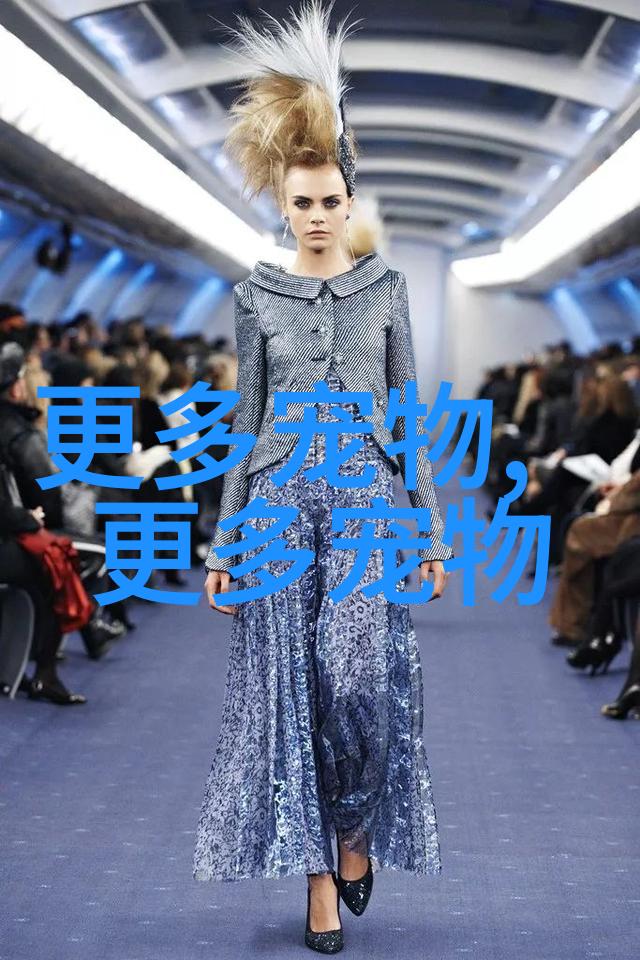 招财猫鱼怎么养也需要技巧