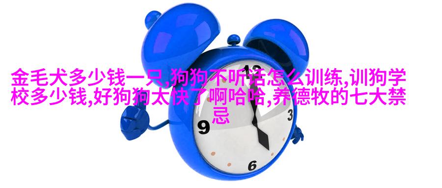 英国短毛