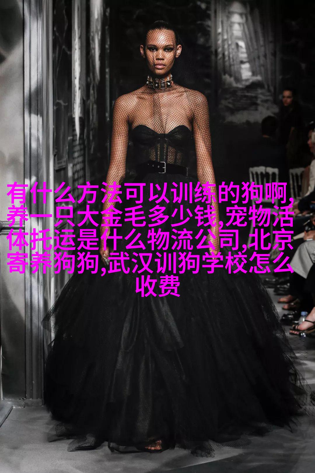奥西拉克斯