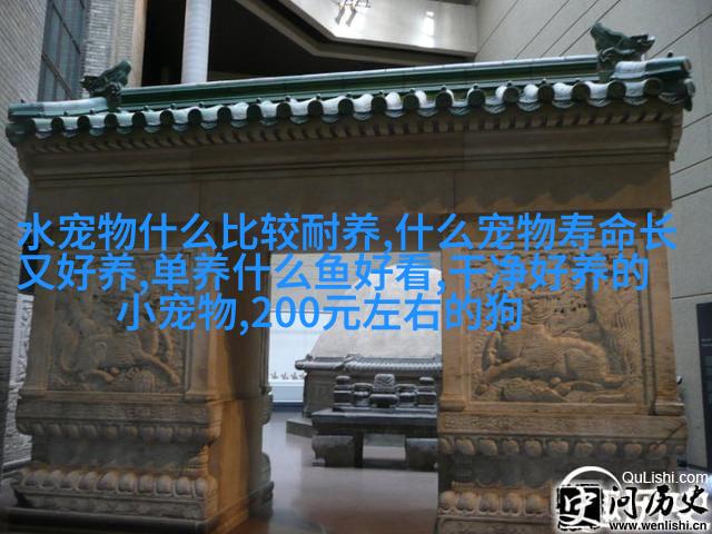 泰国银斑短毛猫