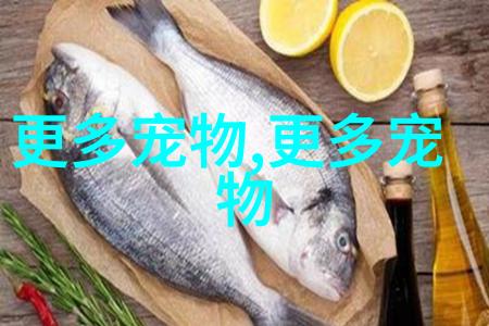 苏格兰折耳貓