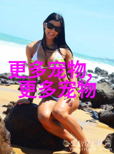 雅典娜波斯猫