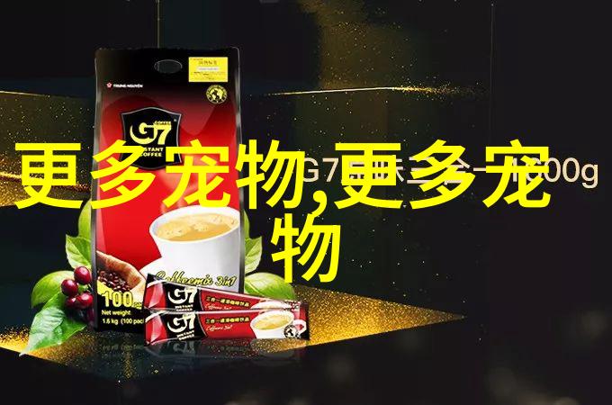 巴塞罗那短毛犬
